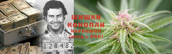 молекула духа Арсеньев