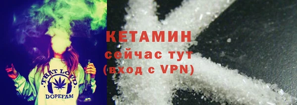 трава Аркадак