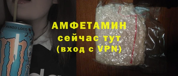 молекула духа Арсеньев