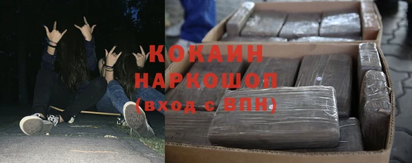 молекула духа Арсеньев