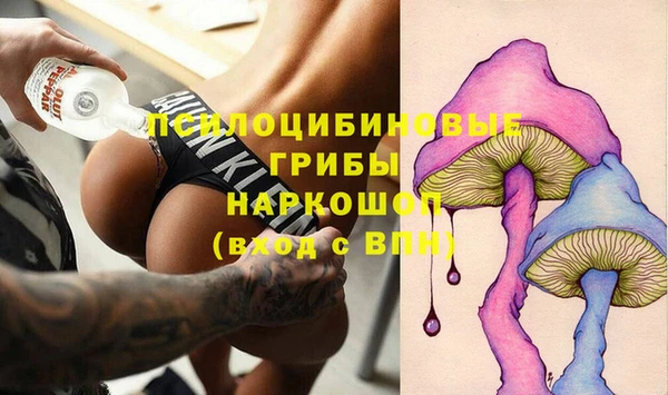 трава Аркадак
