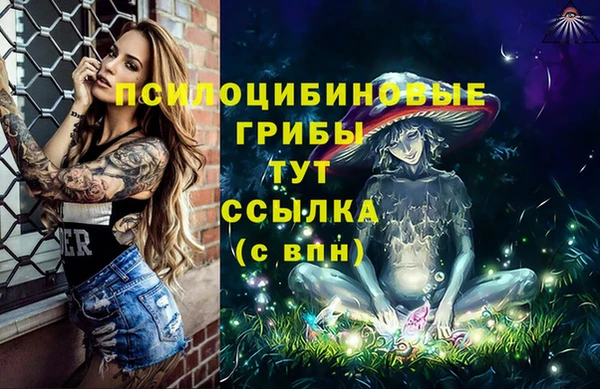 трава Аркадак