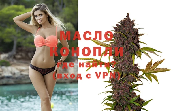 сатива Армянск