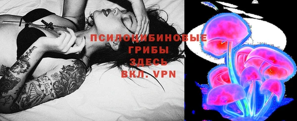 молекула духа Арсеньев