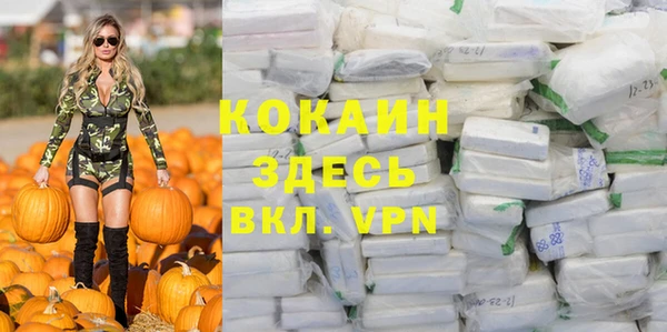 сатива Армянск