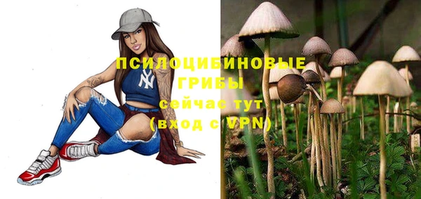 трава Аркадак