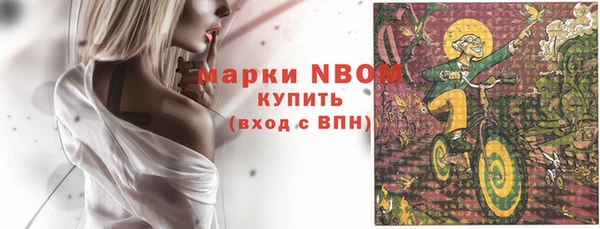 молекула духа Арсеньев