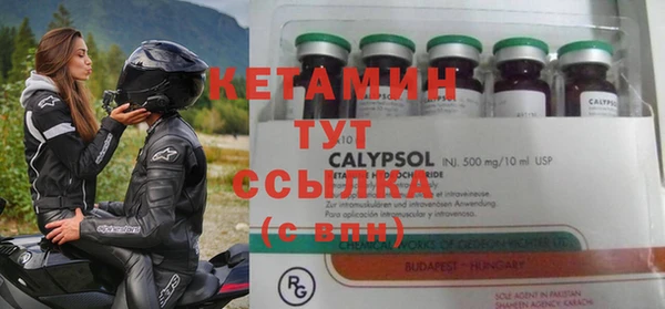 трава Аркадак