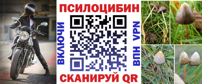 Псилоцибиновые грибы MAGIC MUSHROOMS  ОМГ ОМГ ССЫЛКА  Мценск 